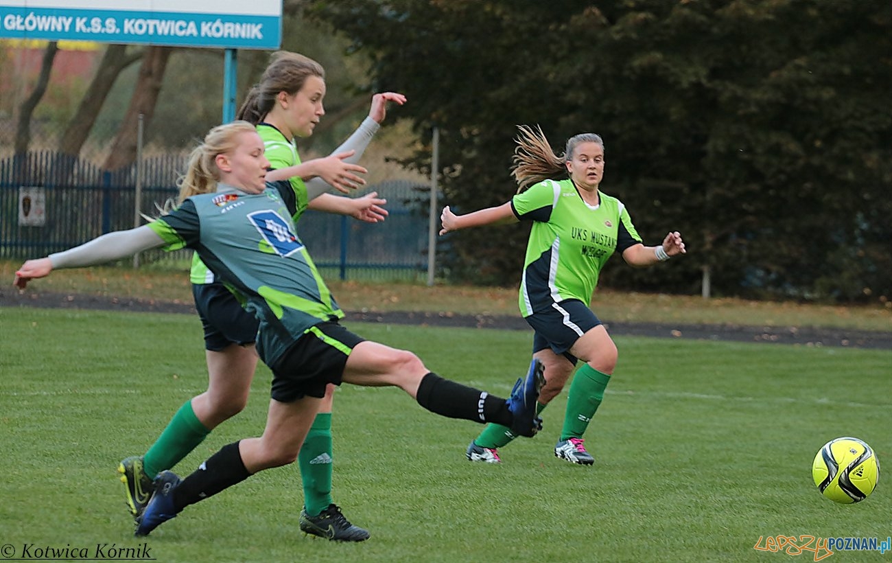 Kotwica Kórnik - Mustang Wielgie Foto: materiały prasowe Kotwica Kórnik - Mustang Wielgie Foto: materiały prasowe