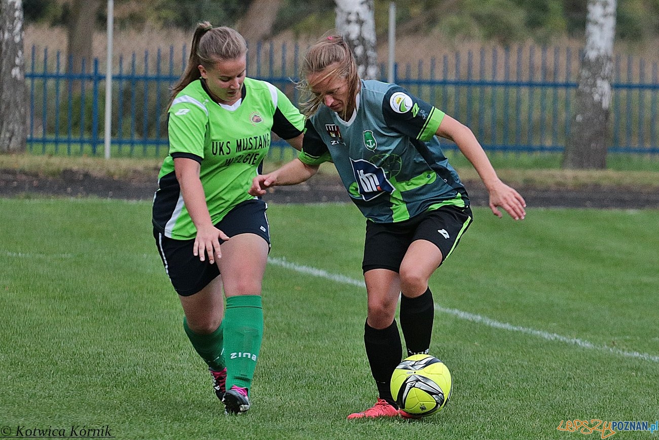 Kotwica Kórnik - Mustang Wielgie Foto: materiały prasowe Kotwica Kórnik - Mustang Wielgie Foto: materiały prasowe