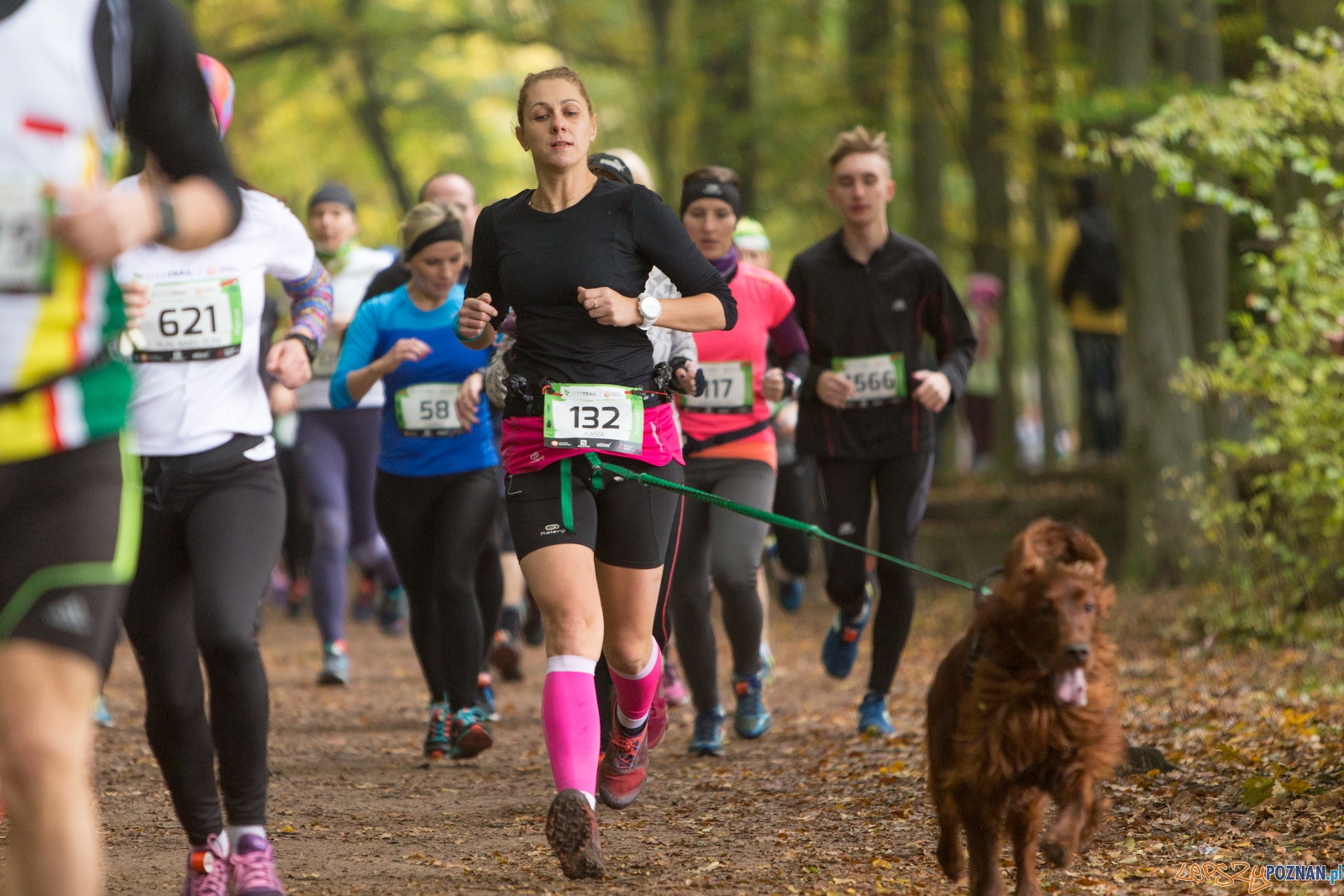 Grand Prix CITY TRAIL - bieg pierwszy Foto: lepszyPOZNAN.pl / Piotr Rychter Grand Prix CITY TRAIL - bieg pierwszy Foto: lepszyPOZNAN.pl / Piotr Rychter