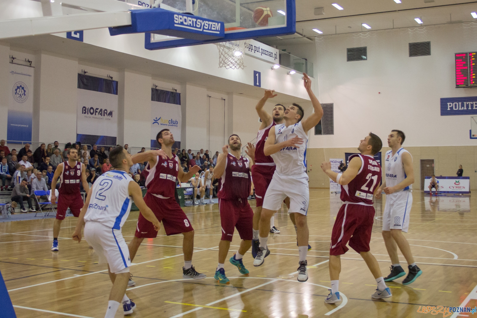 Biofarm Basket Poznań - Spójnia Stargard Foto: Ewelina Jaśkowiak Biofarm Basket Poznań - Spójnia Stargard Foto: Ewelina Jaśkowiak