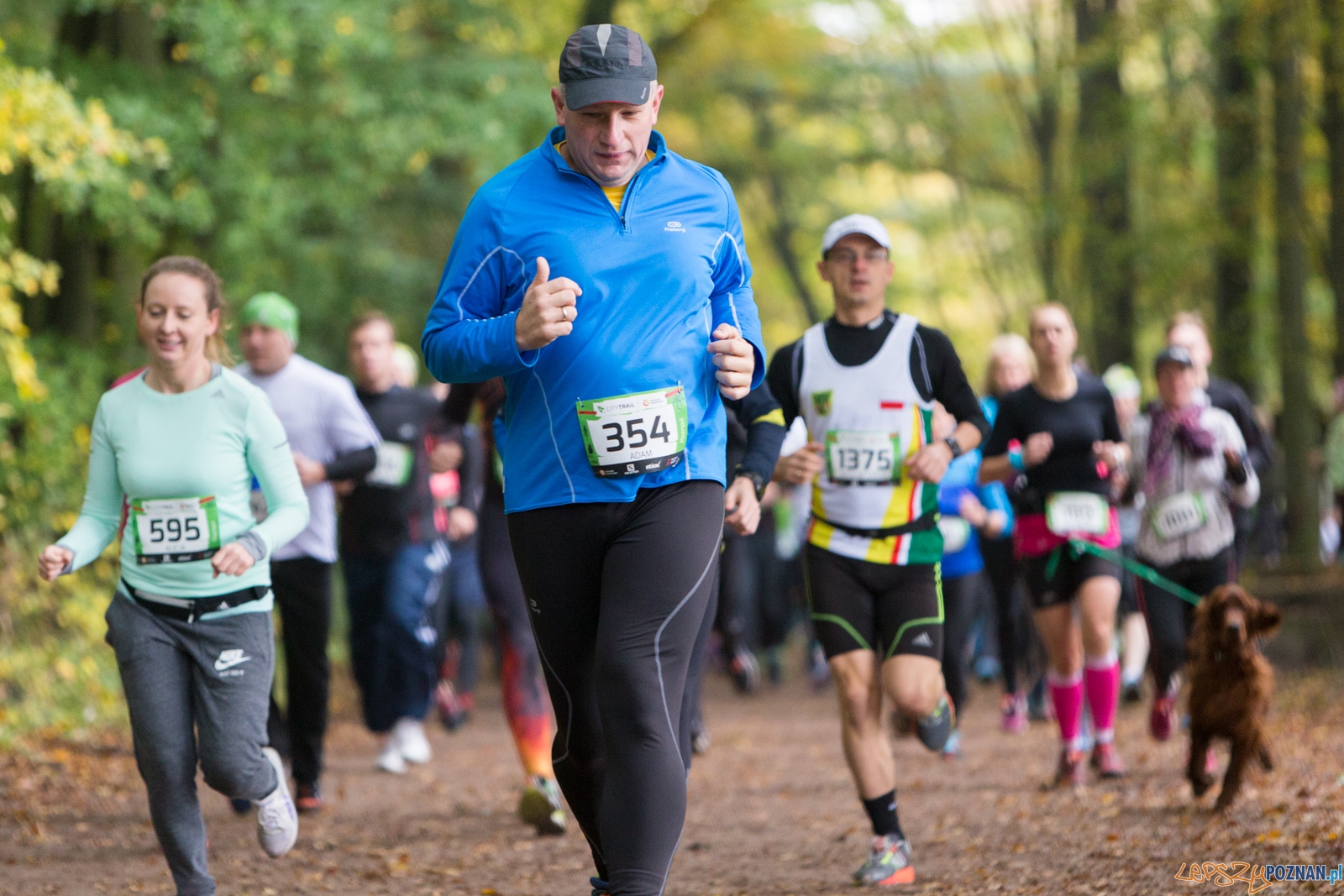 Grand Prix CITY TRAIL - bieg pierwszy Foto: lepszyPOZNAN.pl / Piotr Rychter Grand Prix CITY TRAIL - bieg pierwszy Foto: lepszyPOZNAN.pl / Piotr Rychter