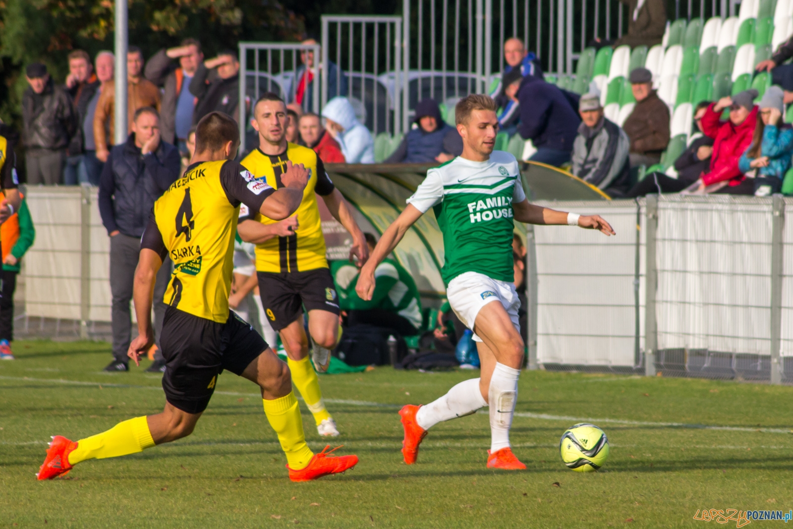 lepszy-9159 Foto: Ewelina Jaśkowiak lepszy-9159 Foto: Ewelina Jaśkowiak