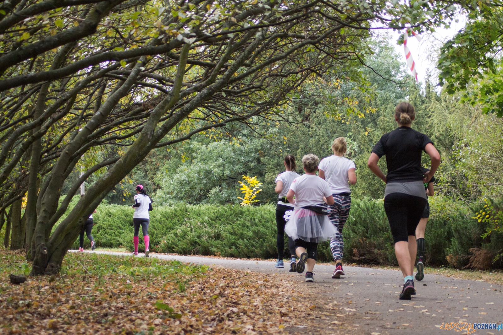 II Bieg Kobiet Zawsze PIER(W)SI 2016 Foto: Ewelina Jaśkowiak II Bieg Kobiet Zawsze PIER(W)SI 2016 Foto: Ewelina Jaśkowiak