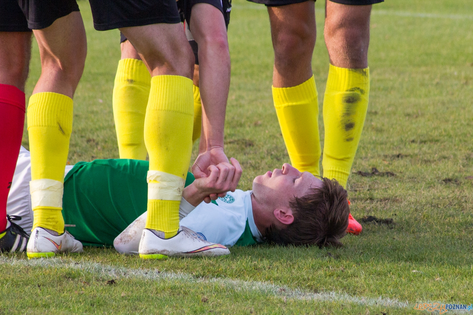 lepszy-9207 Foto: Ewelina Jaśkowiak lepszy-9207 Foto: Ewelina Jaśkowiak