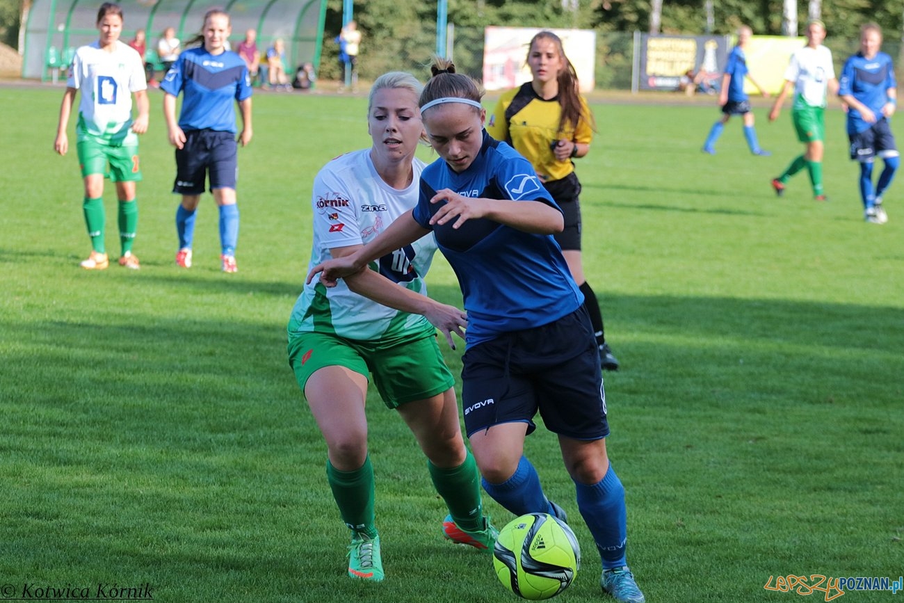 Kotwica Kórnik – KS Olimp Gościno Foto: materiały prasowe Kotwica Kórnik – KS Olimp Gościno Foto: materiały prasowe