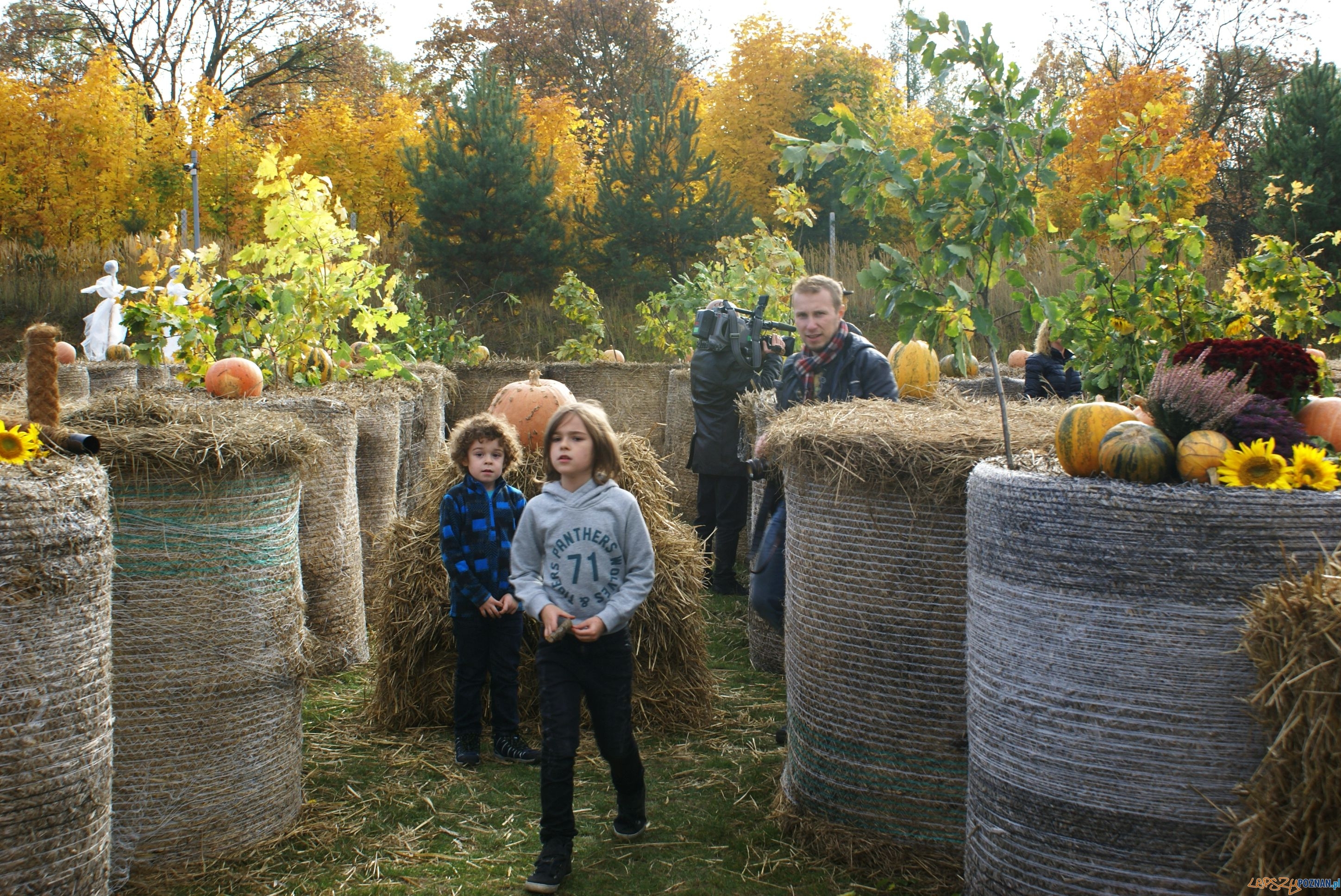 Festiwal Korbola Foto: ExPress / materiały prasowe Festiwal Korbola Foto: ExPress / materiały prasowe
