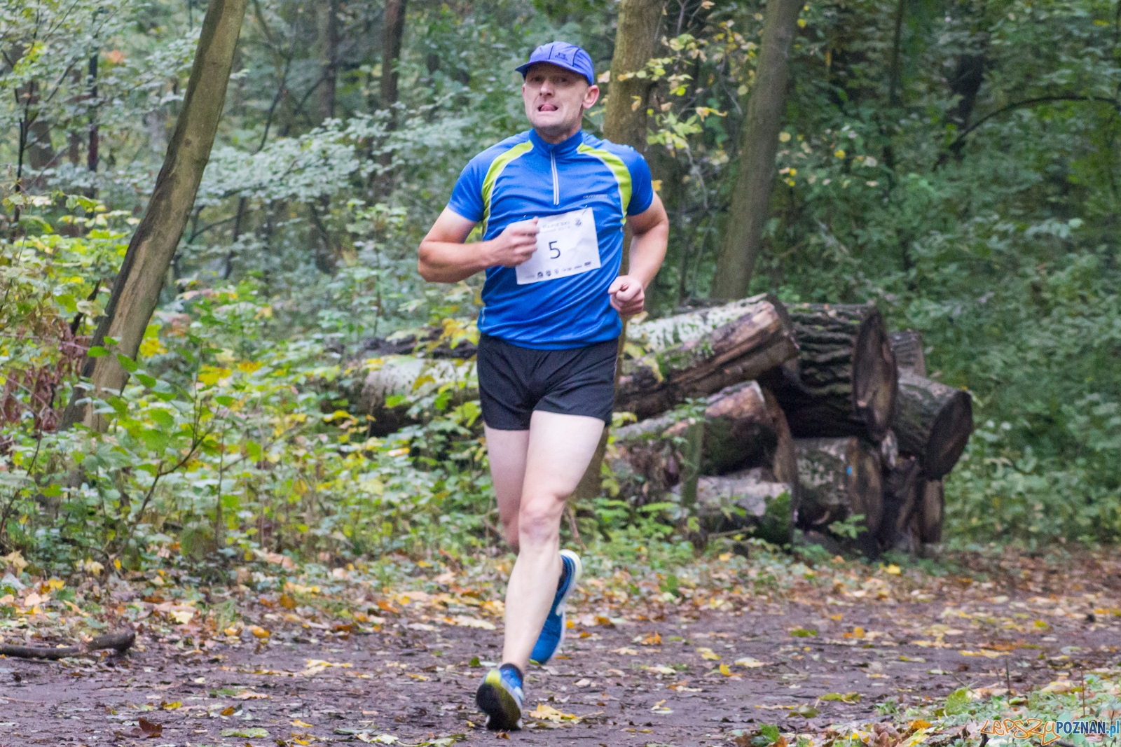 Bieg Papieski Foto: LepszyPOZNAŃ.pl / Ewelina Jaśkowiak Bieg Papieski Foto: LepszyPOZNAŃ.pl / Ewelina Jaśkowiak