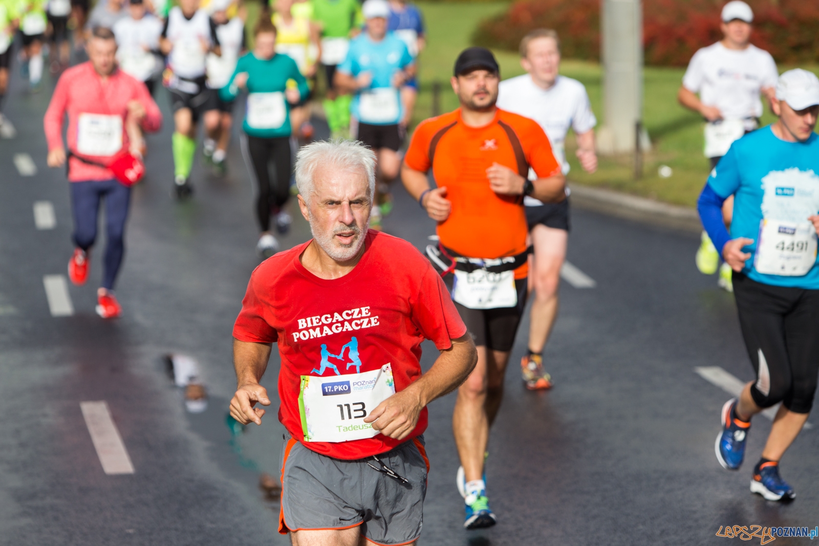 17. PKO Poznań Maraton Foto: lepszyPOZNAN.pl / Piotr Rychter 17. PKO Poznań Maraton Foto: lepszyPOZNAN.pl / Piotr Rychter