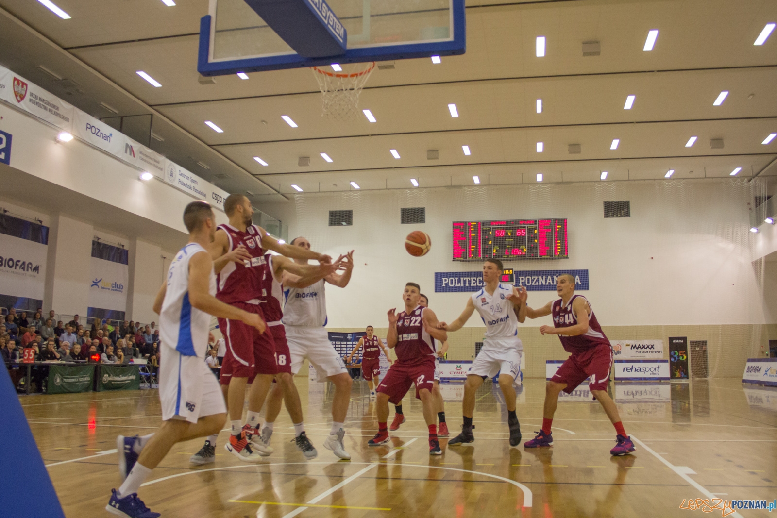 Biofarm Basket Poznań - Spójnia Stargard Foto: Ewelina Jaśkowiak Biofarm Basket Poznań - Spójnia Stargard Foto: Ewelina Jaśkowiak