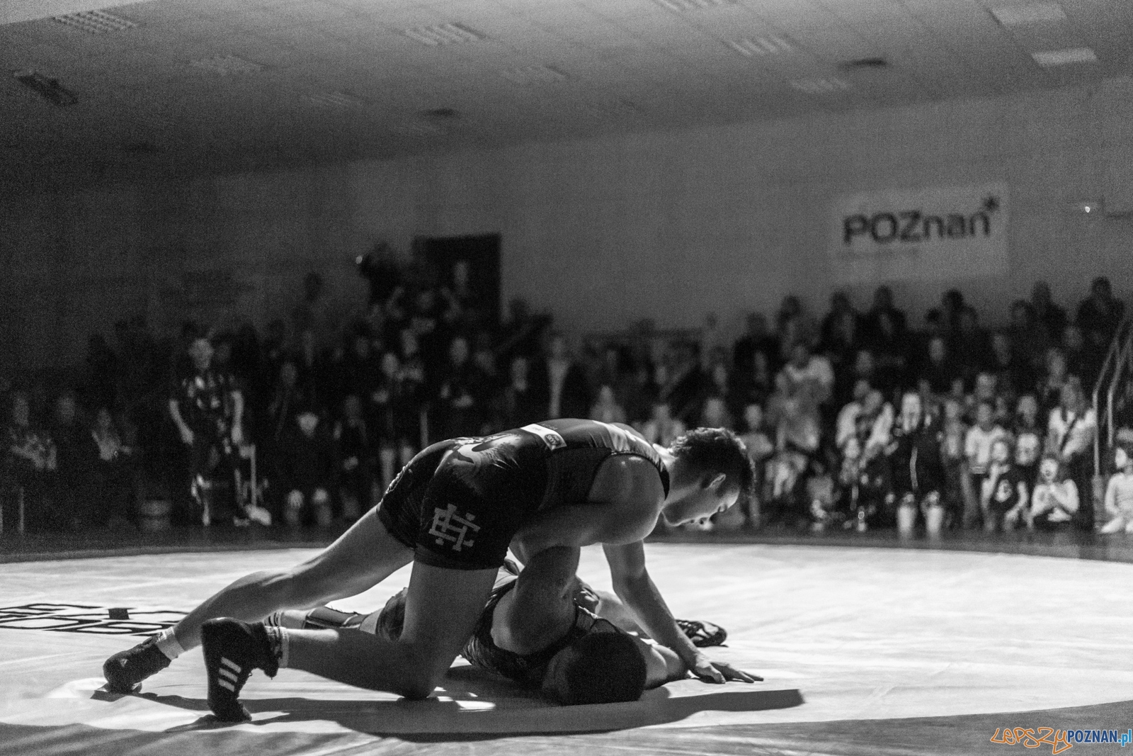 Krajowa Liga Zapaśnicza Foto: lepszyPOZNAN.pl / Piotr Rychter Krajowa Liga Zapaśnicza Foto: lepszyPOZNAN.pl / Piotr Rychter