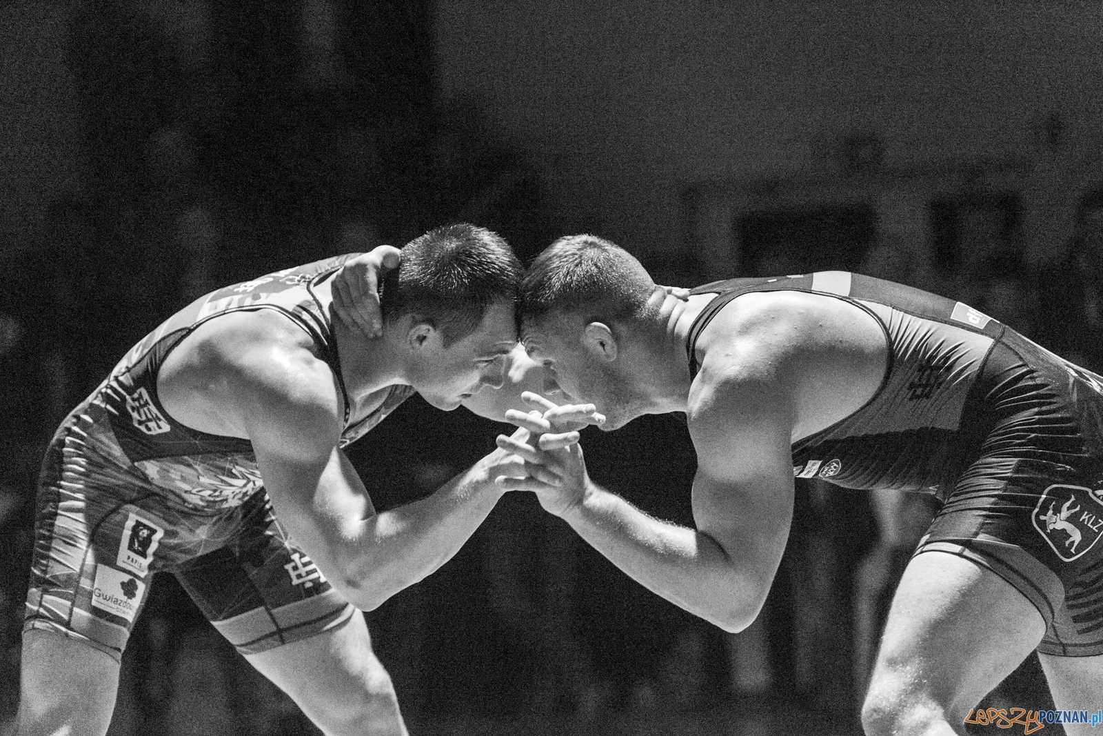 Krajowa Liga Zapaśnicza Foto: lepszyPOZNAN.pl / Piotr Rychter Krajowa Liga Zapaśnicza Foto: lepszyPOZNAN.pl / Piotr Rychter
