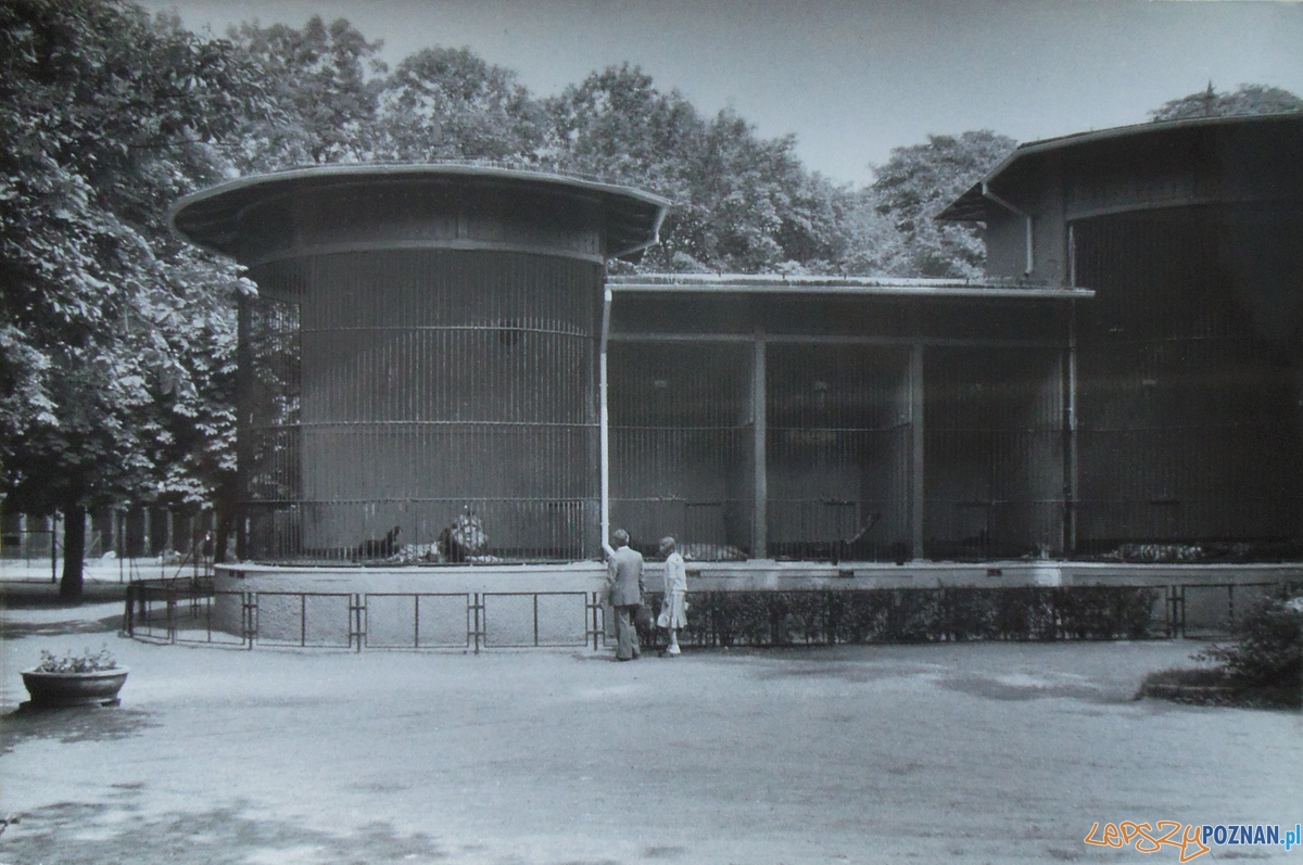 Stare ZOO Foto: materiały archiwalne ZOO Stare ZOO Foto: materiały archiwalne ZOO