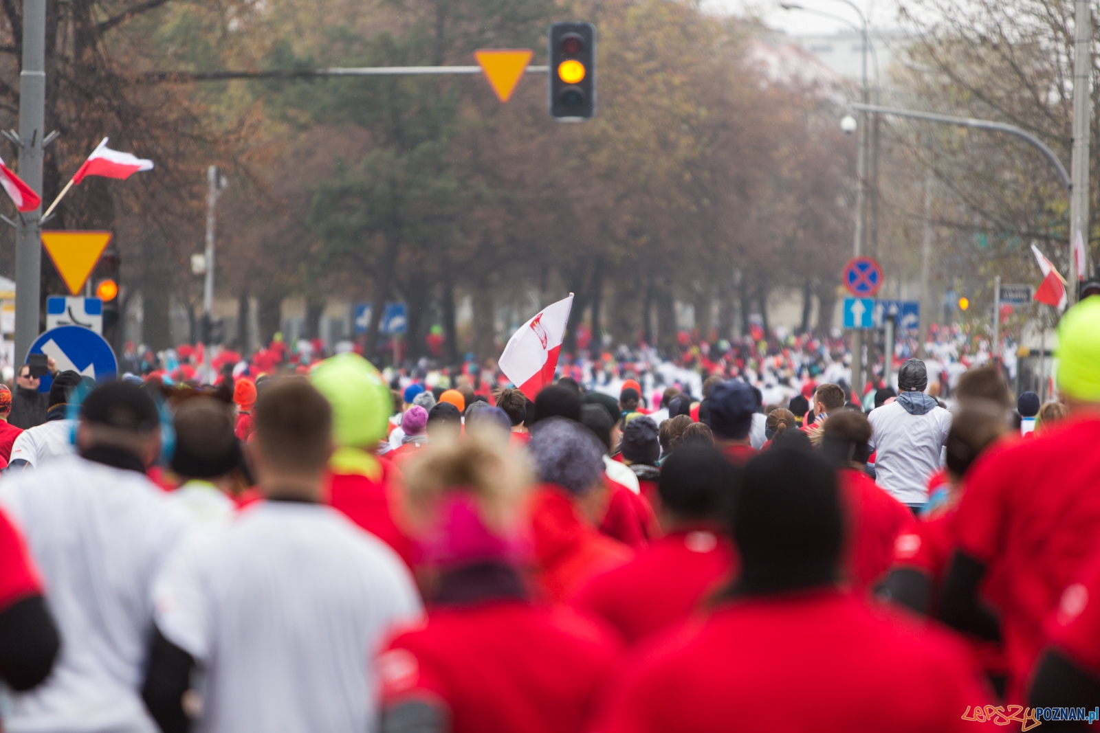 I Poznański Bieg Niepodległości Foto: lepszyPOZNAN.pl / Piotr Rychter I Poznański Bieg Niepodległości Foto: lepszyPOZNAN.pl / Piotr Rychter