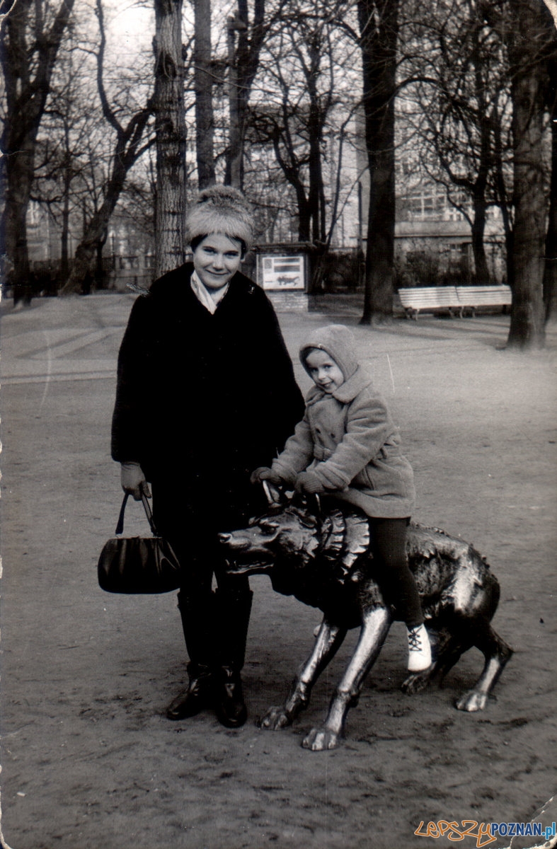 Stare Zoo - 1966 Foto: materiały archiwalne ZOO Stare Zoo - 1966 Foto: materiały archiwalne ZOO