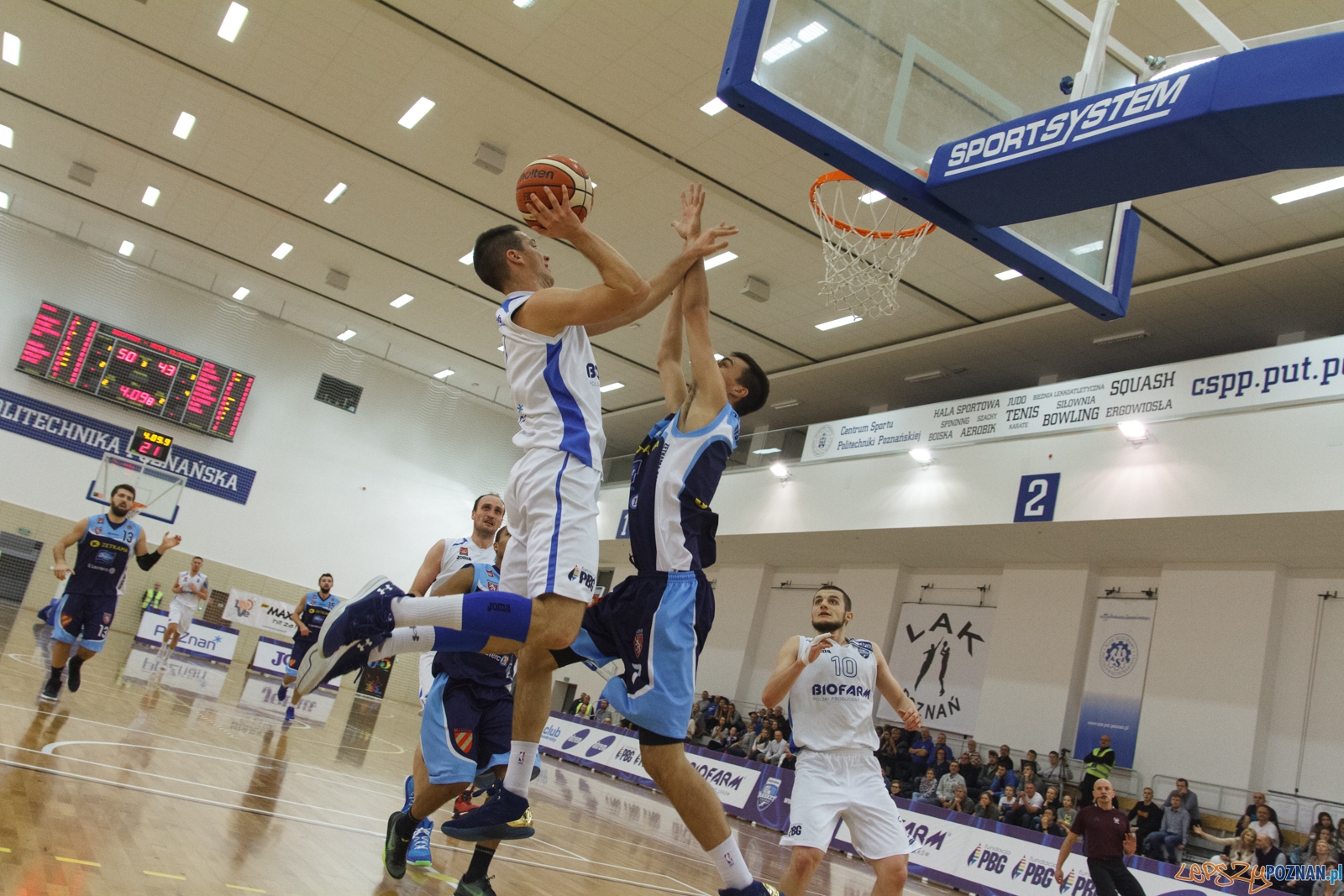 Biofarm Basket Poznań - Zetkama Doral Nysa Kłodzko 73:60 - Poz Foto: LepszyPOZNAN.pl / Paweł Rychter Biofarm Basket Poznań - Zetkama Doral Nysa Kłodzko 73:60 - Poz Foto: LepszyPOZNAN.pl / Paweł Rychter