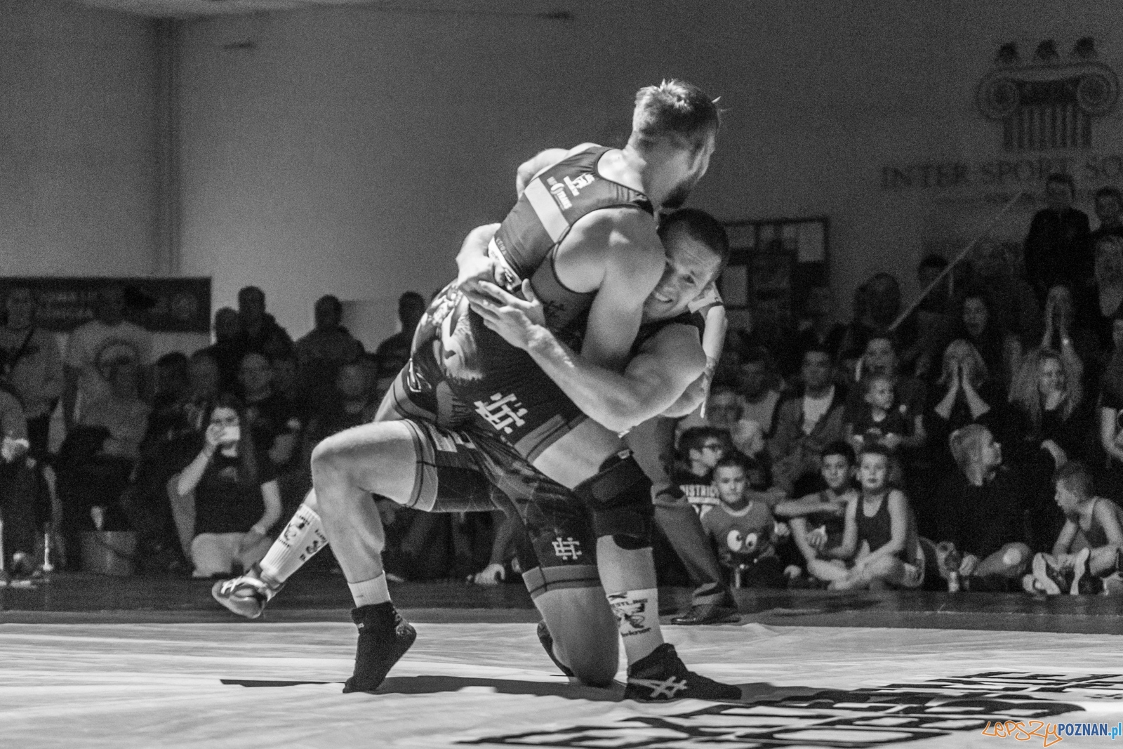 Krajowa Liga Zapaśnicza Foto: lepszyPOZNAN.pl / Piotr Rychter Krajowa Liga Zapaśnicza Foto: lepszyPOZNAN.pl / Piotr Rychter