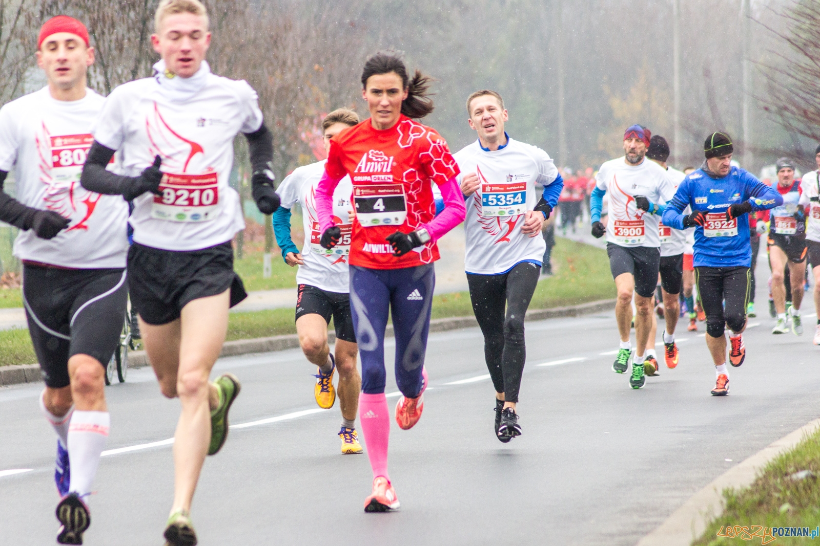 I Poznański Bieg Niepodległości Foto: lepszyPOZNAN.pl / Ewelina Jaśkowiak I Poznański Bieg Niepodległości Foto: lepszyPOZNAN.pl / Ewelina Jaśkowiak