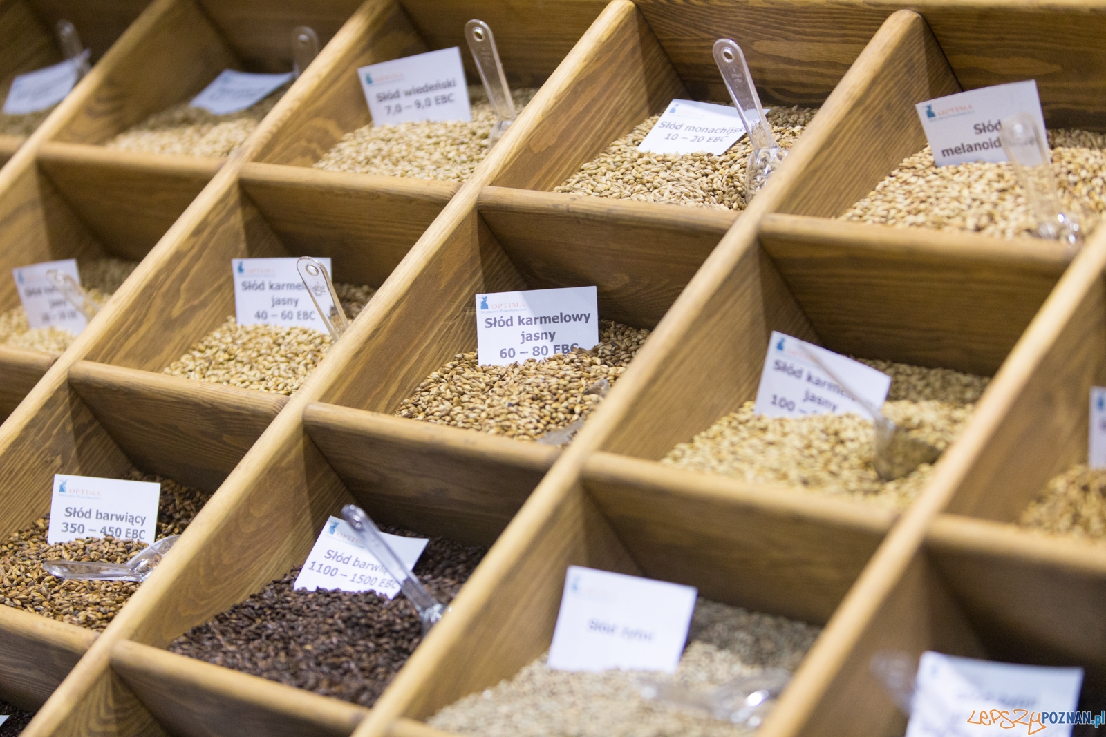 Poznańskie Targi Piwne Foto: lepszyPOZNAN.pl / Piotr Rychter Poznańskie Targi Piwne Foto: lepszyPOZNAN.pl / Piotr Rychter