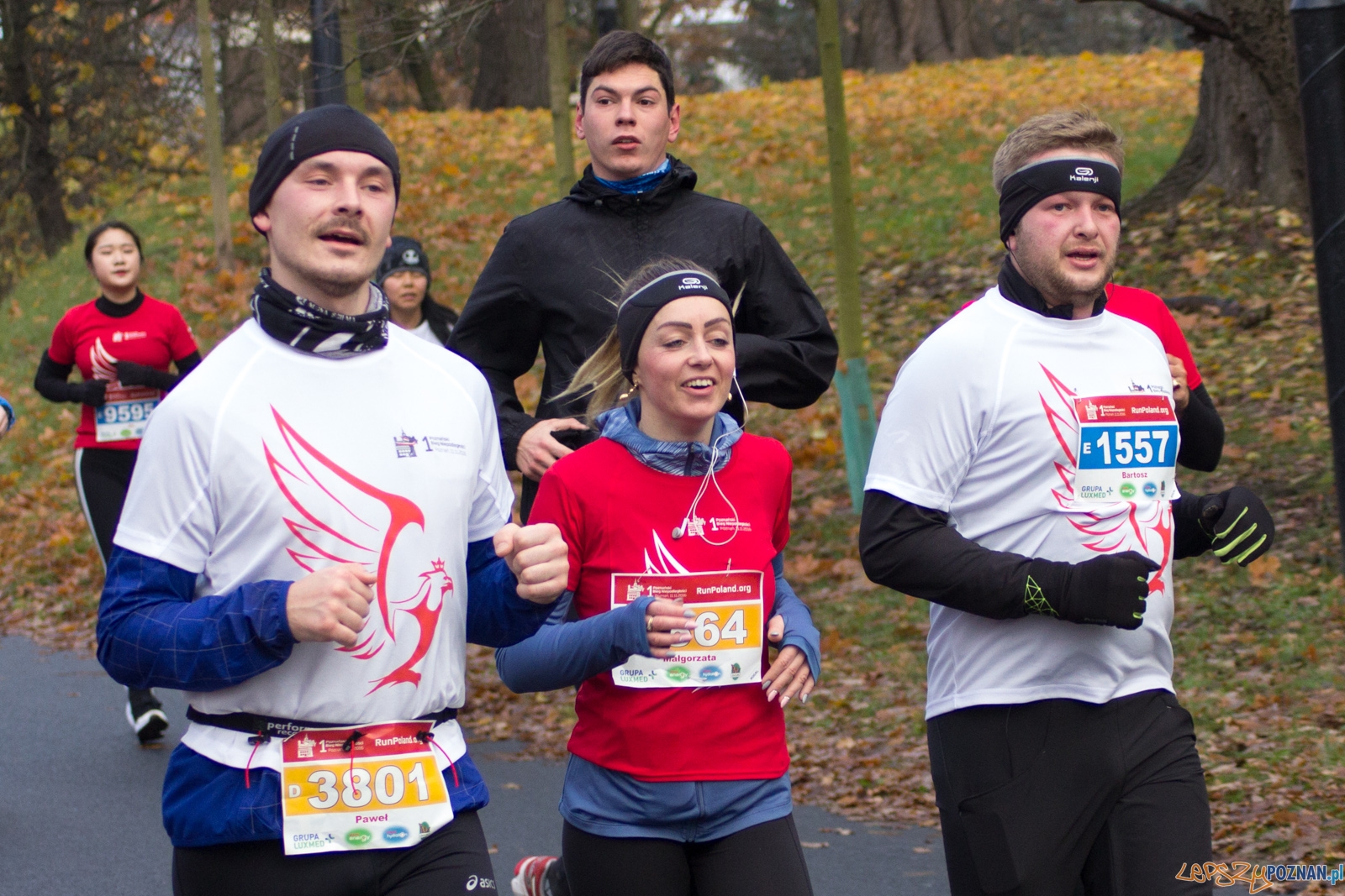 I Poznański Bieg Niepodległości Foto: lepszyPOZNAN.pl / Ewelina Jaśkowiak I Poznański Bieg Niepodległości Foto: lepszyPOZNAN.pl / Ewelina Jaśkowiak