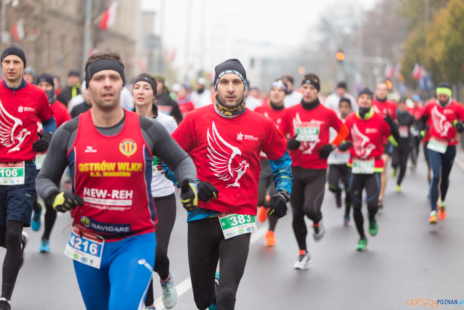 I Poznański Bieg Niepodległości Foto: lepszyPOZNAN.pl / Piotr Rychter I Poznański Bieg Niepodległości Foto: lepszyPOZNAN.pl / Piotr Rychter