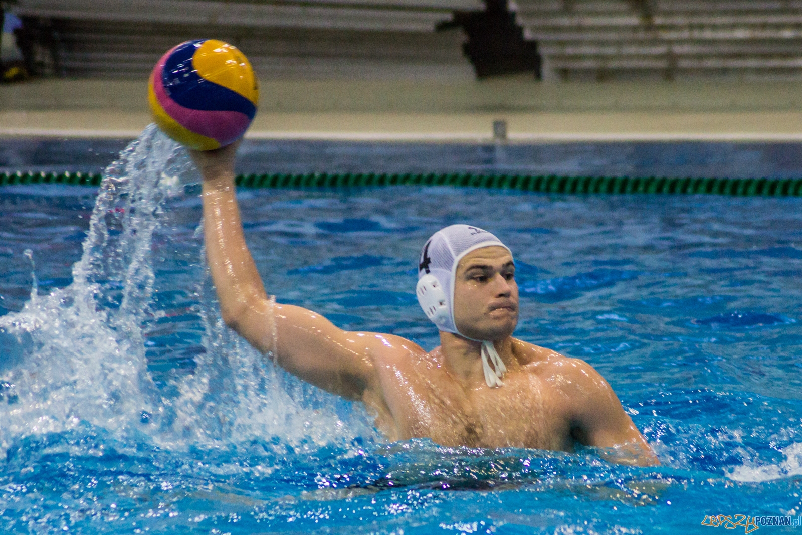 KS Waterpolo Poznań - GKPW 59 Gorzów Foto: Ewelina Jaśkowiak KS Waterpolo Poznań - GKPW 59 Gorzów Foto: Ewelina Jaśkowiak