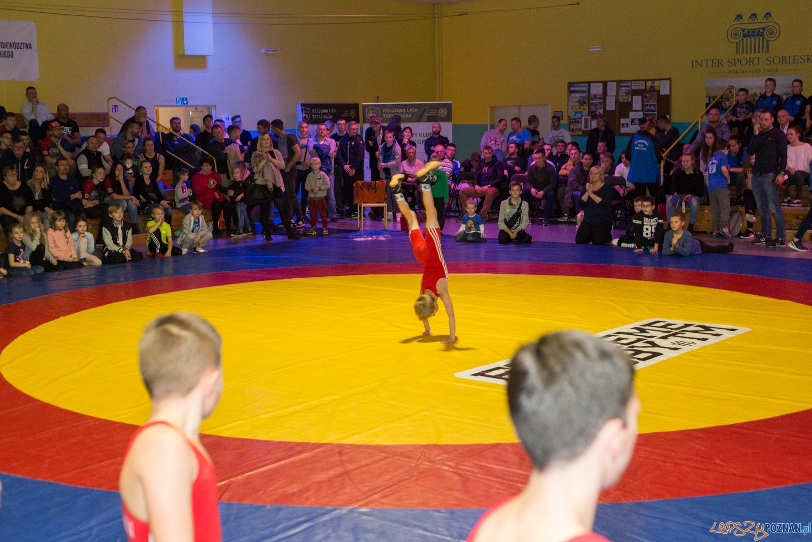Krajowa Liga Zapaśnicza Foto: lepszyPOZNAN.pl / Piotr Rychter Krajowa Liga Zapaśnicza Foto: lepszyPOZNAN.pl / Piotr Rychter