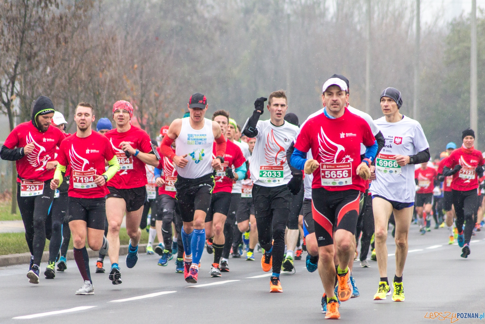 I Poznański Bieg Niepodległości Foto: lepszyPOZNAN.pl / Ewelina Jaśkowiak I Poznański Bieg Niepodległości Foto: lepszyPOZNAN.pl / Ewelina Jaśkowiak