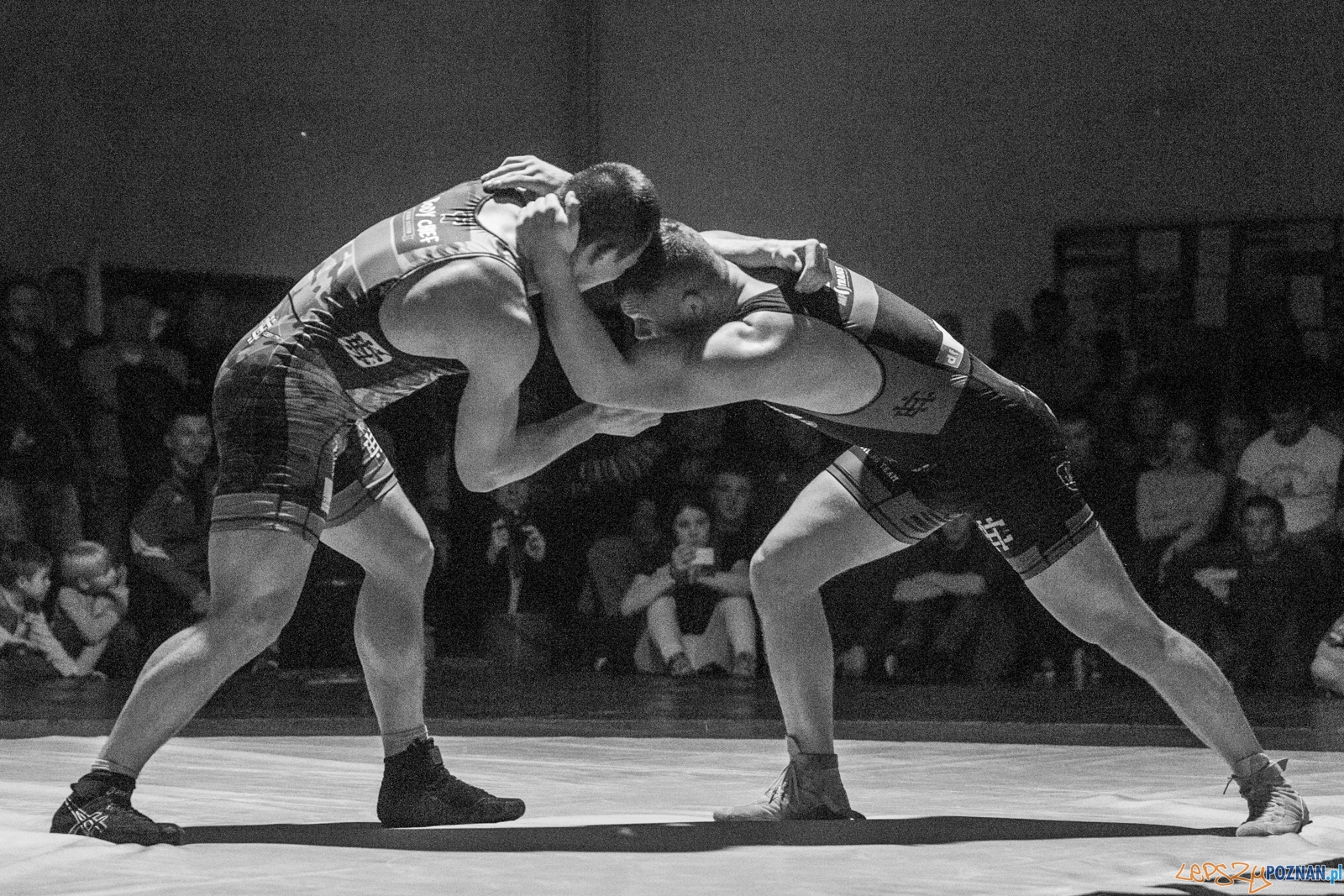 Krajowa Liga Zapaśnicza Foto: lepszyPOZNAN.pl / Piotr Rychter Krajowa Liga Zapaśnicza Foto: lepszyPOZNAN.pl / Piotr Rychter