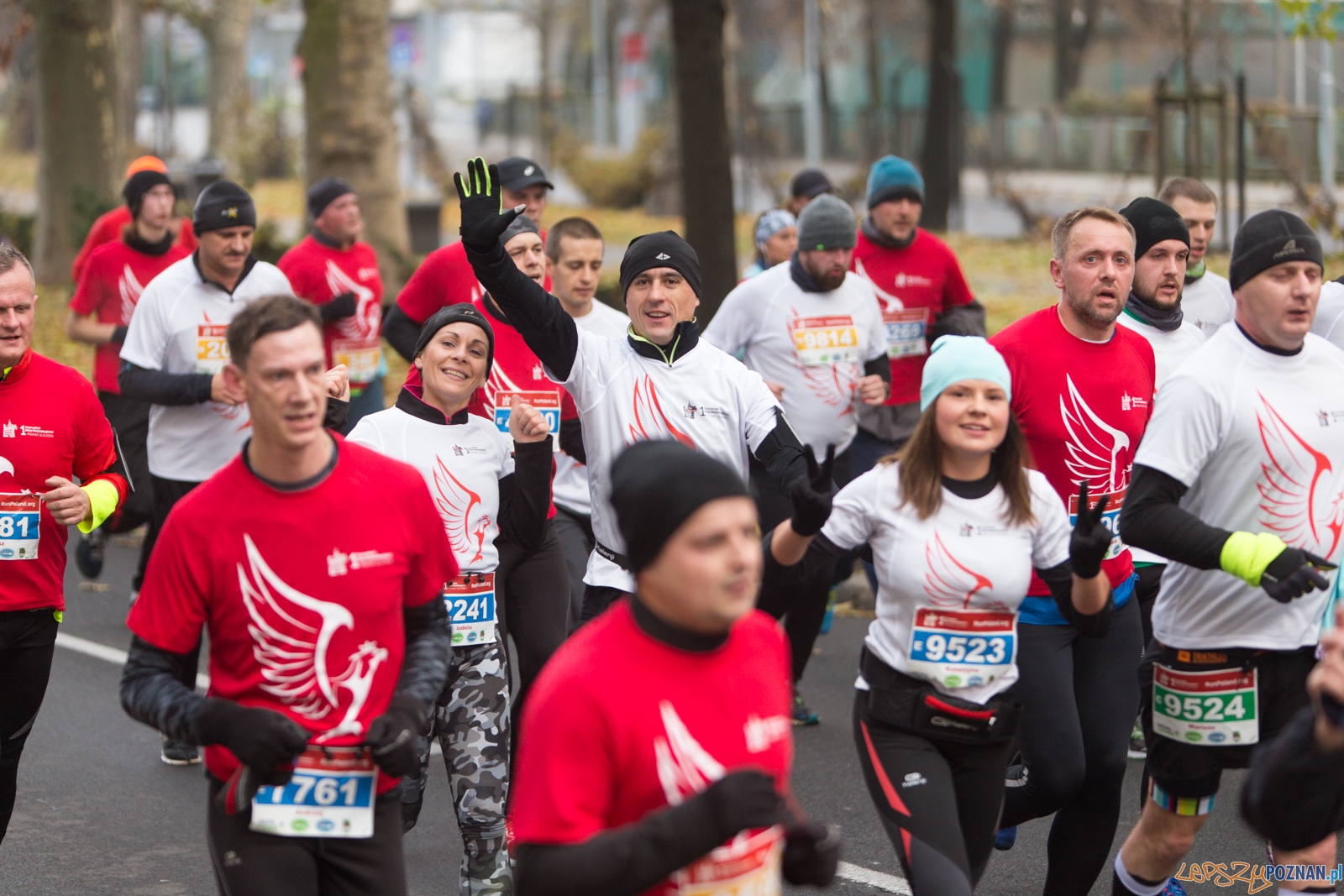 I Poznański Bieg Niepodległości Foto: lepszyPOZNAN.pl / Piotr Rychter I Poznański Bieg Niepodległości Foto: lepszyPOZNAN.pl / Piotr Rychter