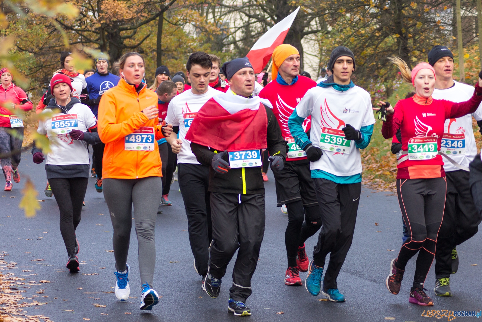 I Poznański Bieg Niepodległości Foto: lepszyPOZNAN.pl / Ewelina Jaśkowiak I Poznański Bieg Niepodległości Foto: lepszyPOZNAN.pl / Ewelina Jaśkowiak