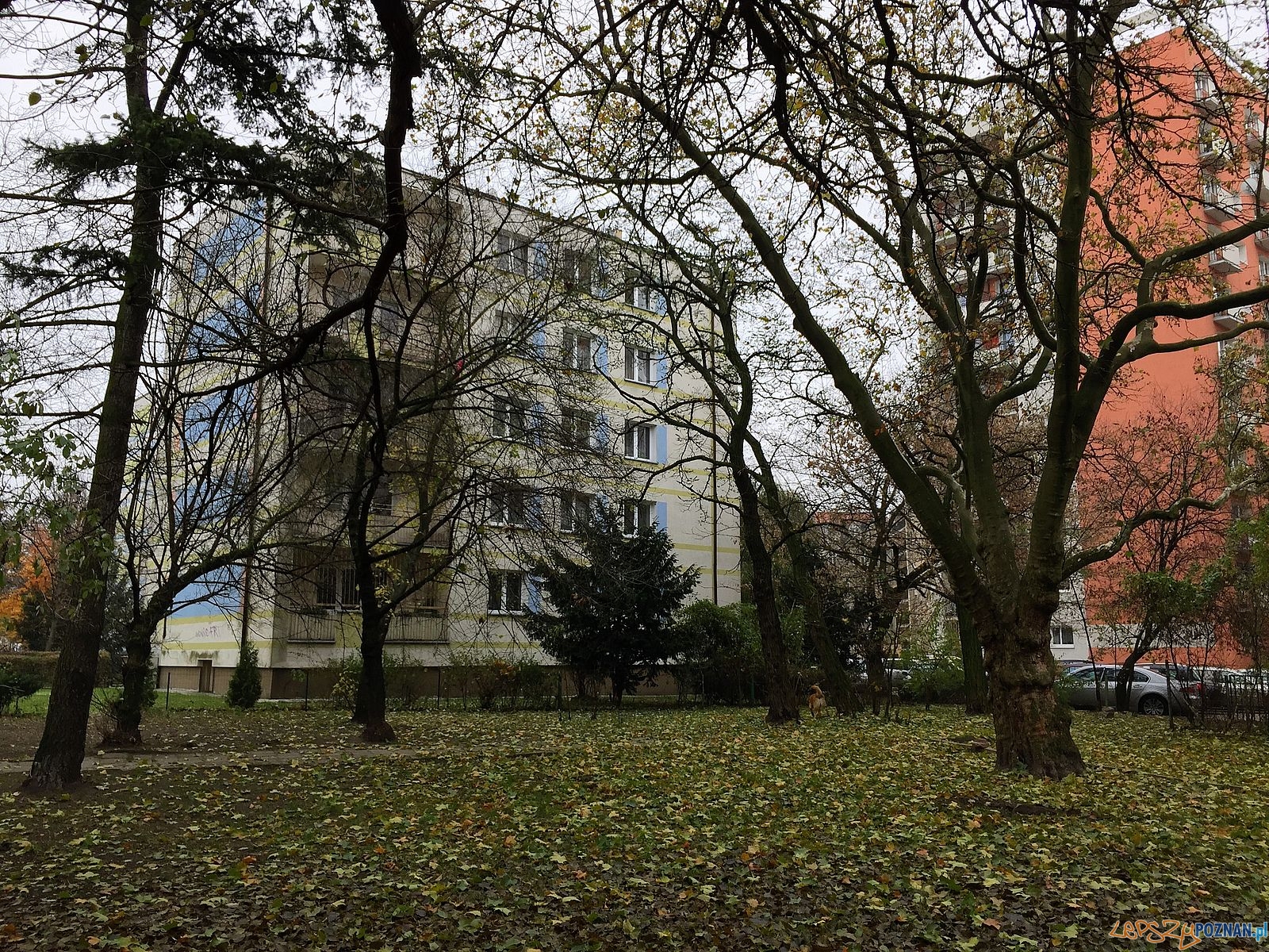 Blok zamiast zieleni? Foto: Rada Osiedla Stare Miasto / Marcin Liminowicz Blok zamiast zieleni? Foto: Rada Osiedla Stare Miasto / Marcin Liminowicz