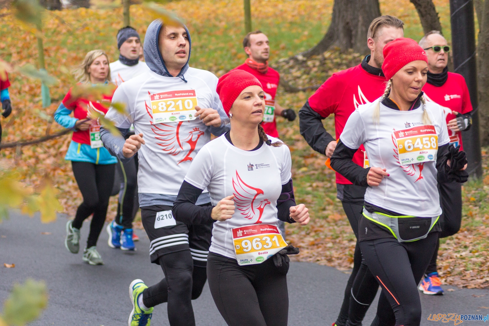 I Poznański Bieg Niepodległości Foto: lepszyPOZNAN.pl / Ewelina Jaśkowiak I Poznański Bieg Niepodległości Foto: lepszyPOZNAN.pl / Ewelina Jaśkowiak