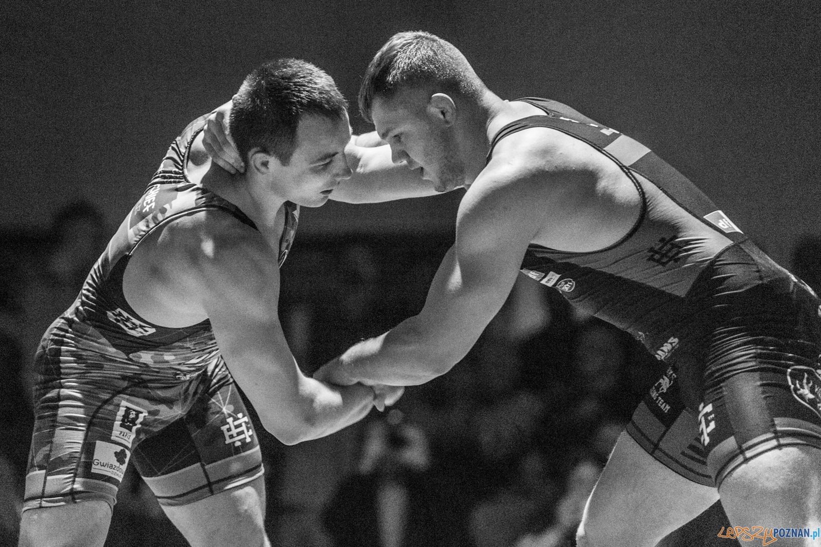 Krajowa Liga Zapaśnicza Foto: lepszyPOZNAN.pl / Piotr Rychter Krajowa Liga Zapaśnicza Foto: lepszyPOZNAN.pl / Piotr Rychter
