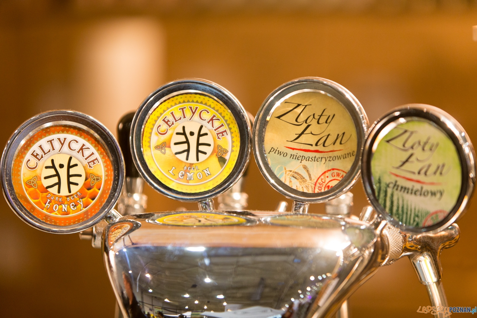 Poznańskie Targi Piwne Foto: lepszyPOZNAN.pl / Piotr Rychter Poznańskie Targi Piwne Foto: lepszyPOZNAN.pl / Piotr Rychter