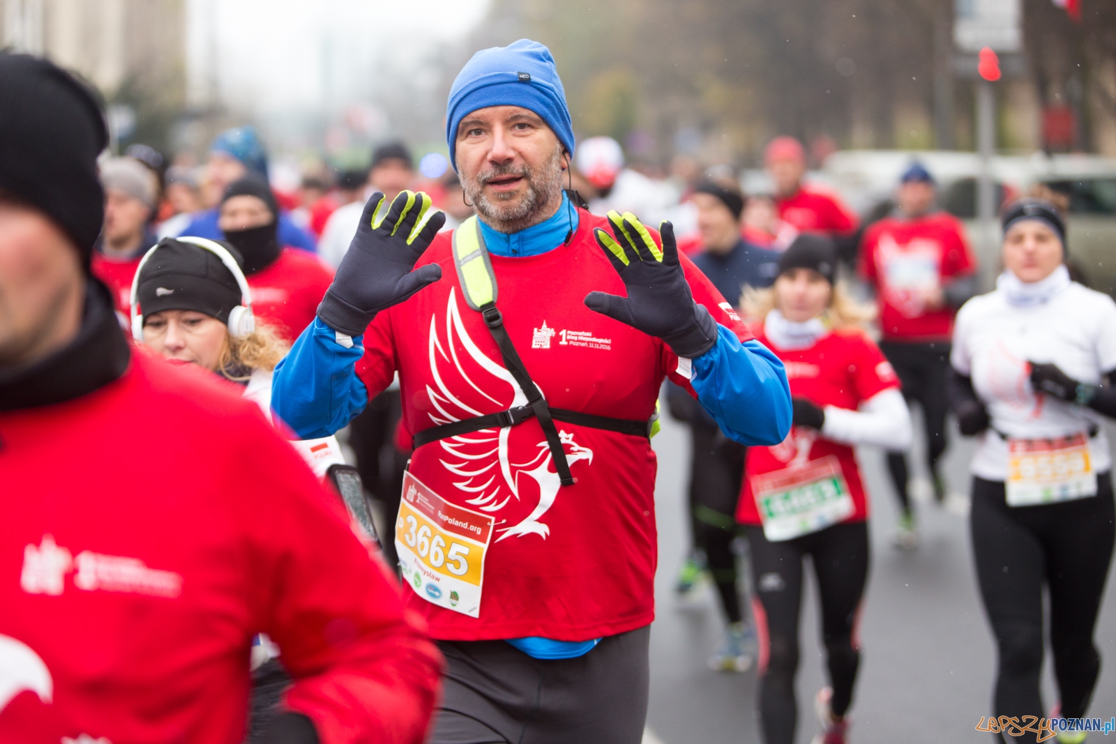 I Poznański Bieg Niepodległości Foto: lepszyPOZNAN.pl / Piotr Rychter I Poznański Bieg Niepodległości Foto: lepszyPOZNAN.pl / Piotr Rychter