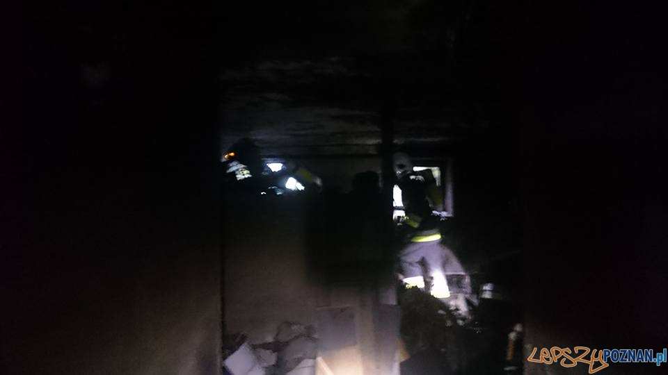 Pożar w piwnicy Foto: OSP Suchy Las Pożar w piwnicy Foto: OSP Suchy Las