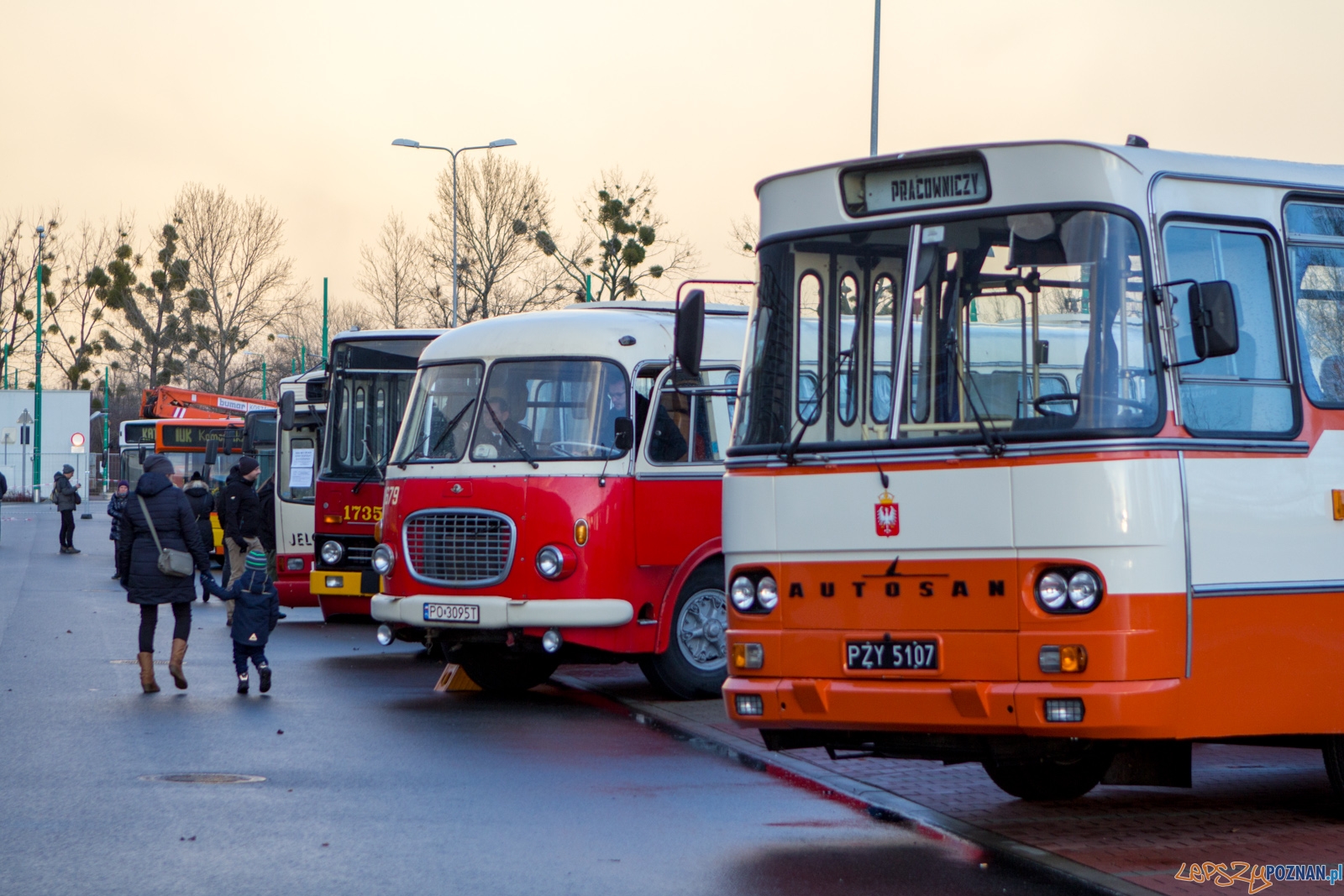 lp-4039 Foto: Ewelina Jaśkowiak lp-4039 Foto: Ewelina Jaśkowiak