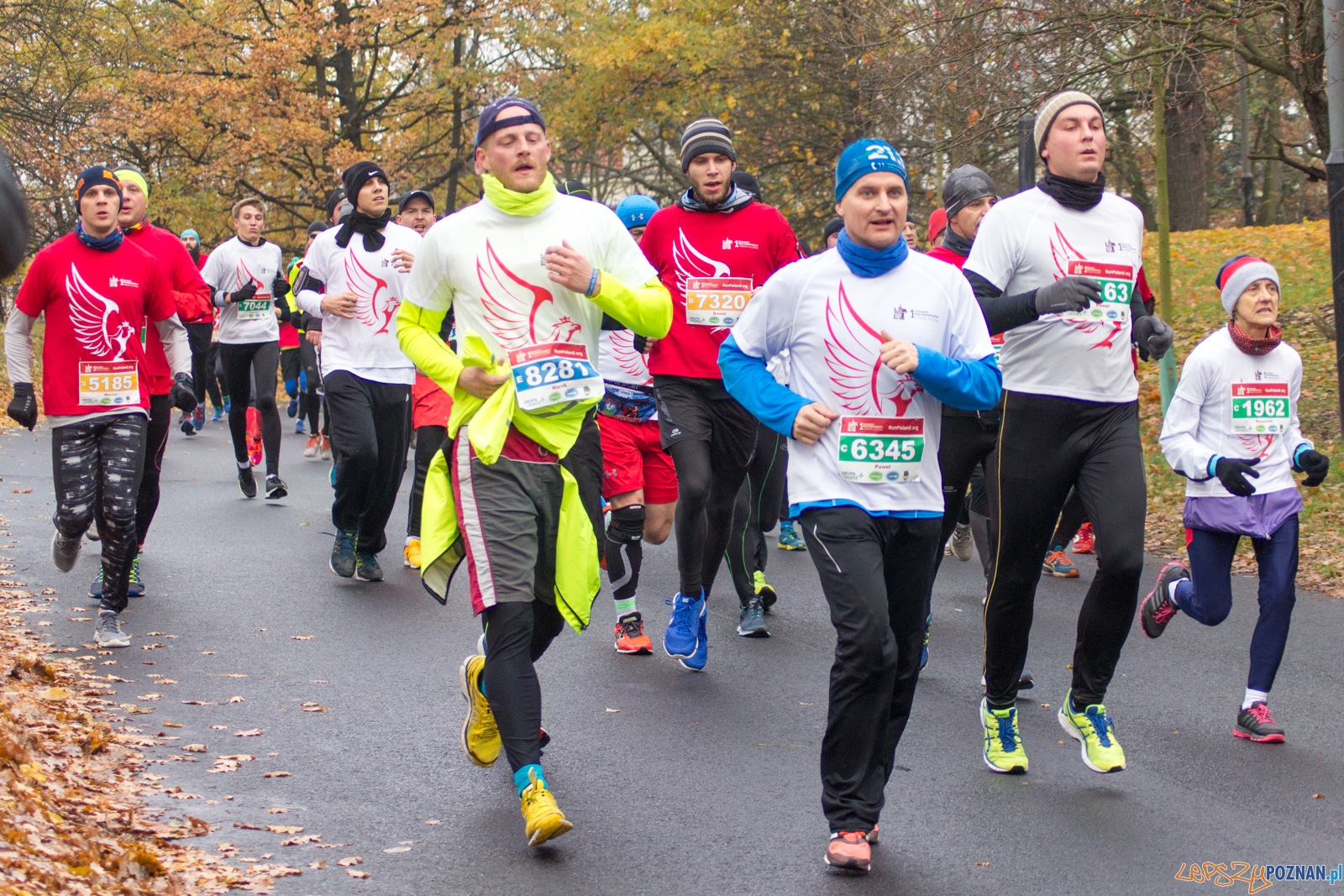 I Poznański Bieg Niepodległości Foto: lepszyPOZNAN.pl / Ewelina Jaśkowiak I Poznański Bieg Niepodległości Foto: lepszyPOZNAN.pl / Ewelina Jaśkowiak