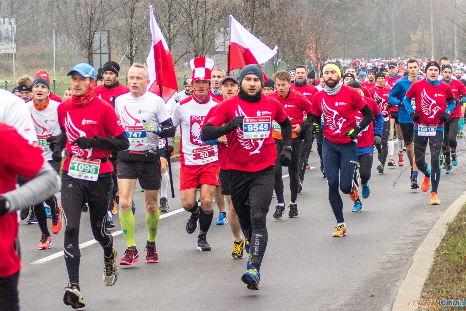 I Poznański Bieg Niepodległości Foto: lepszyPOZNAN.pl / Ewelina Jaśkowiak I Poznański Bieg Niepodległości Foto: lepszyPOZNAN.pl / Ewelina Jaśkowiak