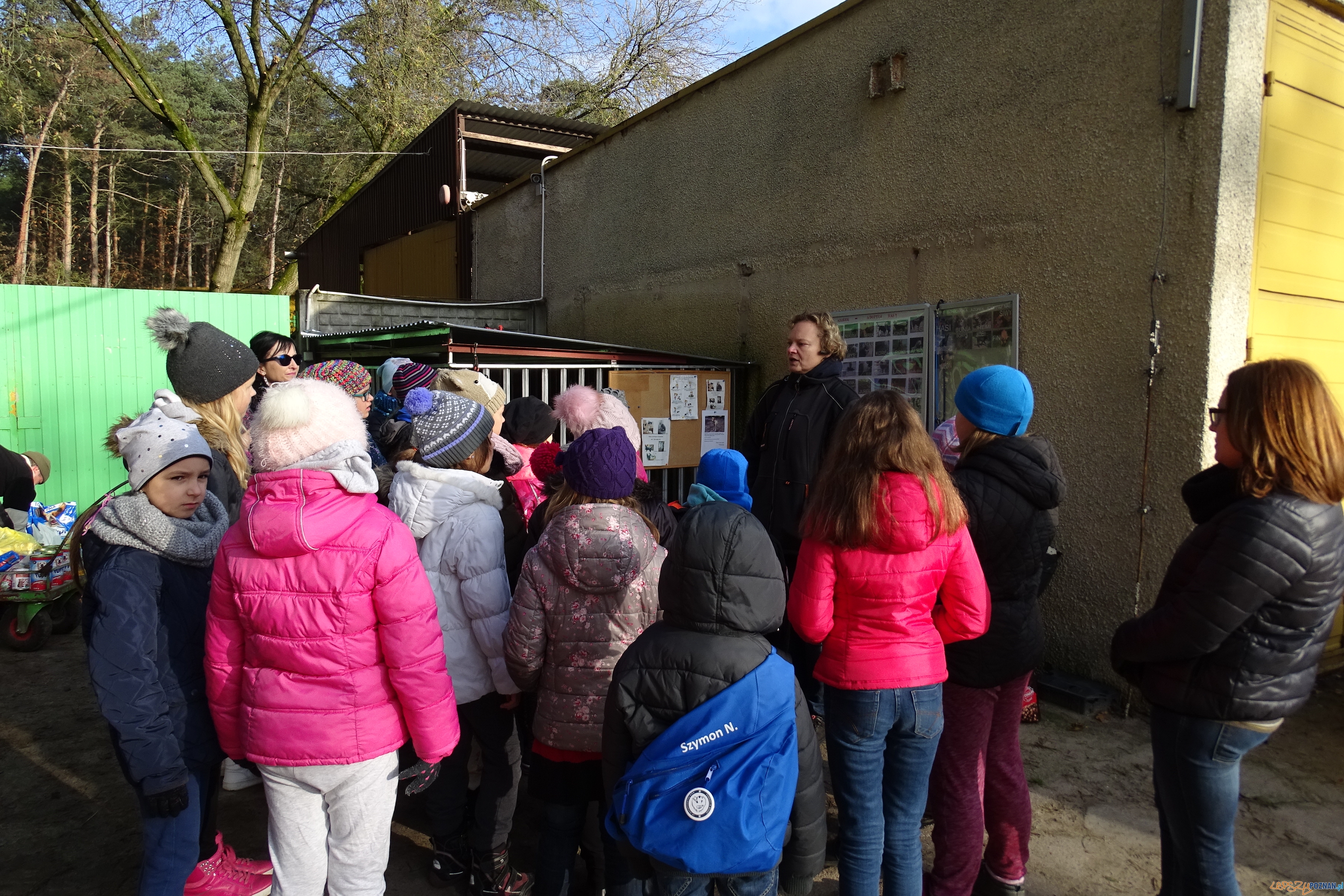 Na pomoc bezpańskim kejtrom Foto: Szkoła Podstawowa w Murowanej Goślinie Na pomoc bezpańskim kejtrom Foto: Szkoła Podstawowa w Murowanej Goślinie