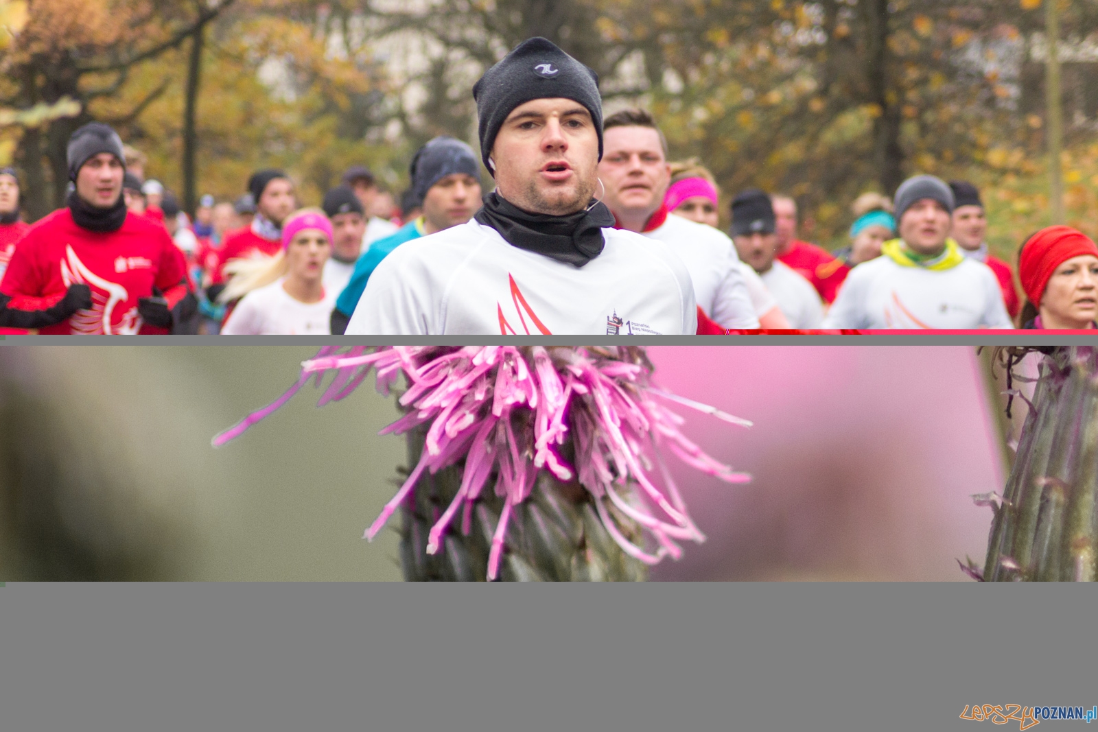 I Poznański Bieg Niepodległości Foto: lepszyPOZNAN.pl / Ewelina Jaśkowiak I Poznański Bieg Niepodległości Foto: lepszyPOZNAN.pl / Ewelina Jaśkowiak