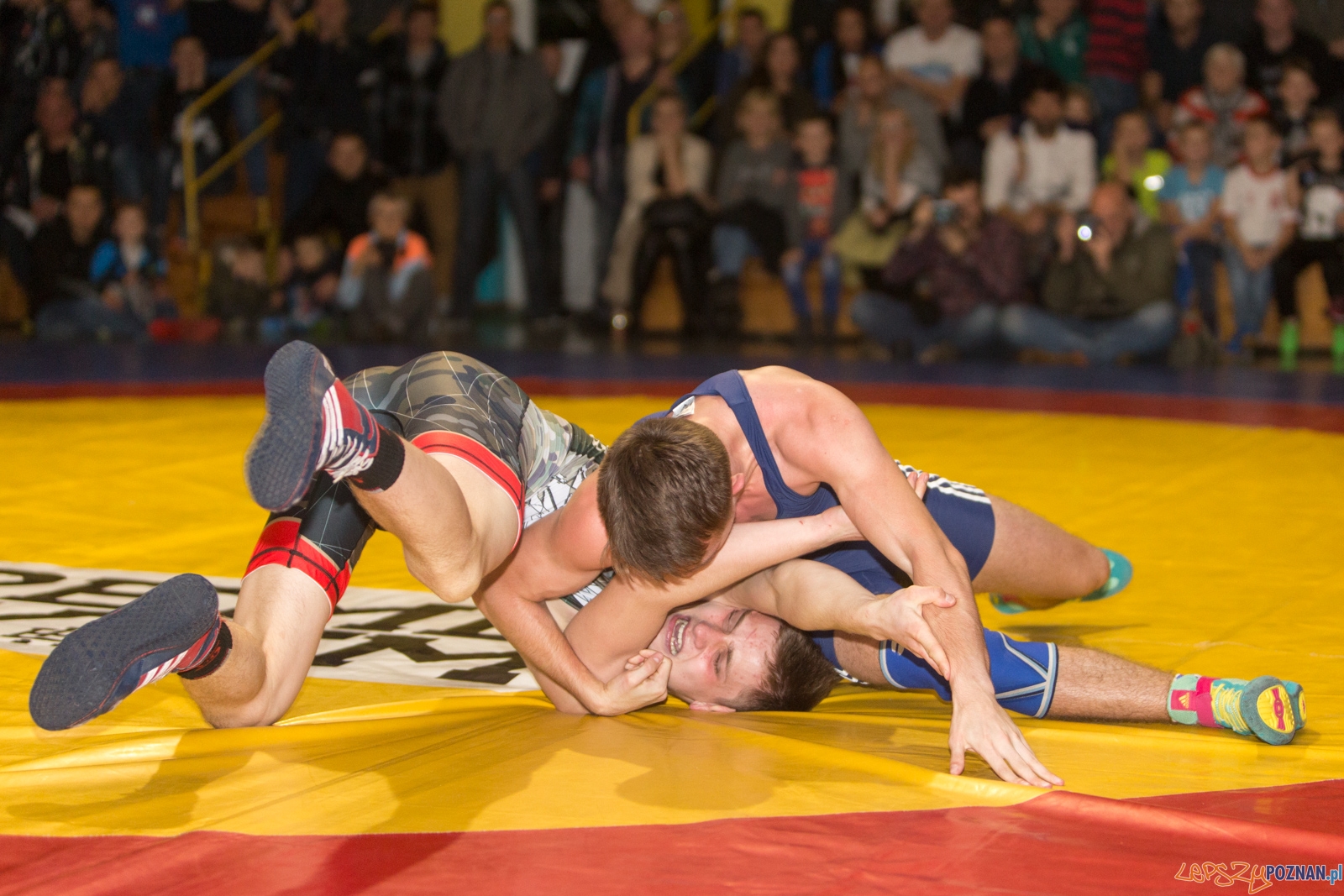 Krajowa Liga Zapaśnicza Foto: lepszyPOZNAN.pl / Piotr Rychter Krajowa Liga Zapaśnicza Foto: lepszyPOZNAN.pl / Piotr Rychter