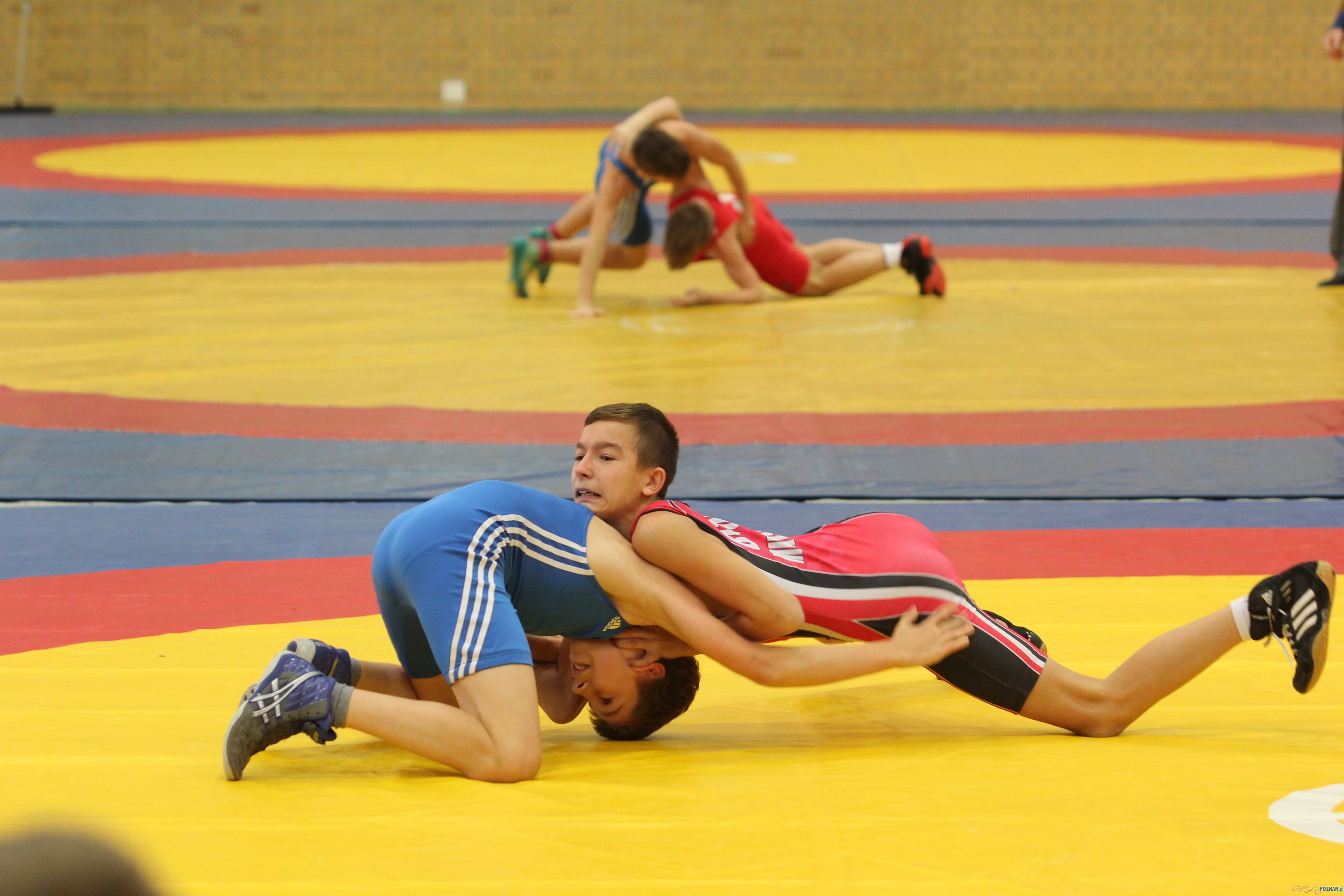 Mistrzostwa Polski Młodzików w zapasach w stylu wolnym Foto: GOSiR Komorniki Mistrzostwa Polski Młodzików w zapasach w stylu wolnym Foto: GOSiR Komorniki