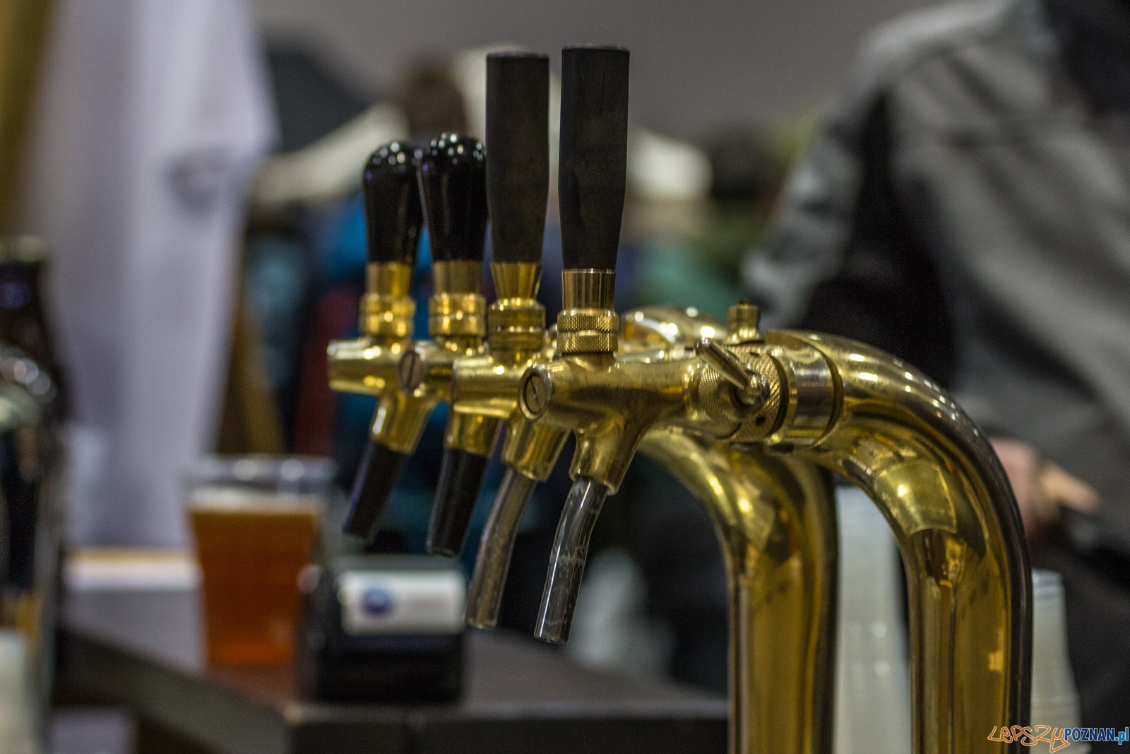 untitled-0888 Foto: Ewelina Jaśkowiak untitled-0888 Foto: Ewelina Jaśkowiak