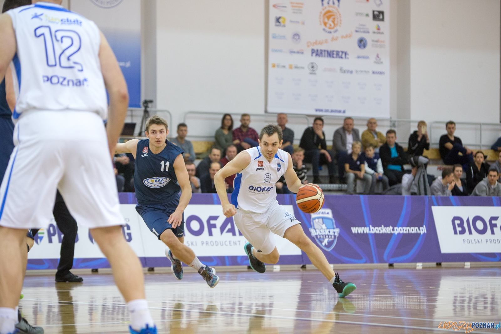 Biofarm Basket Poznań - GKS Gliwice Foto: lepszyPOZNAN.pl / Piotr Rychter Biofarm Basket Poznań - GKS Gliwice Foto: lepszyPOZNAN.pl / Piotr Rychter