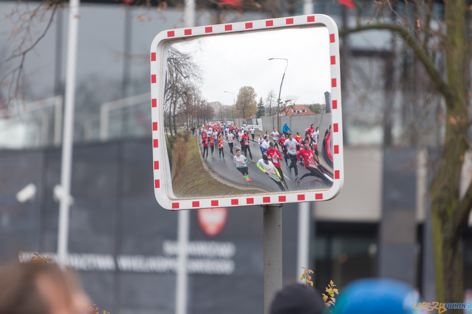 I Poznański Bieg Niepodległości Foto: lepszyPOZNAN.pl / Piotr Rychter I Poznański Bieg Niepodległości Foto: lepszyPOZNAN.pl / Piotr Rychter