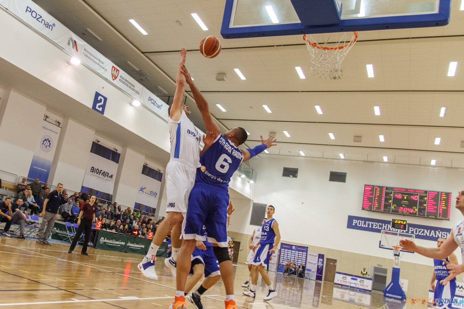 Biofarm Basket Poznań - ACK UTH Rosa Radom 64:51 - 1 liga - Poz Foto: LepszyPOZNAN.pl / Paweł Rychter Biofarm Basket Poznań - ACK UTH Rosa Radom 64:51 - 1 liga - Poz Foto: LepszyPOZNAN.pl / Paweł Rychter