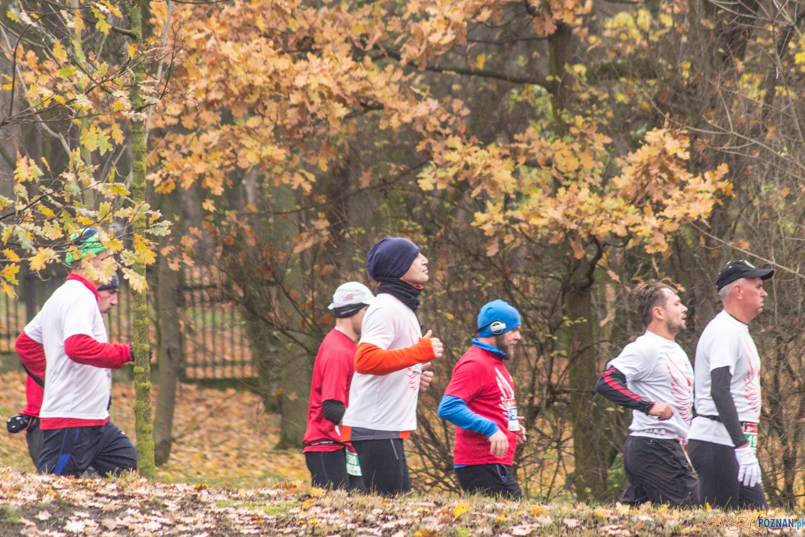 I Poznański Bieg Niepodległości Foto: lepszyPOZNAN.pl / Ewelina Jaśkowiak I Poznański Bieg Niepodległości Foto: lepszyPOZNAN.pl / Ewelina Jaśkowiak