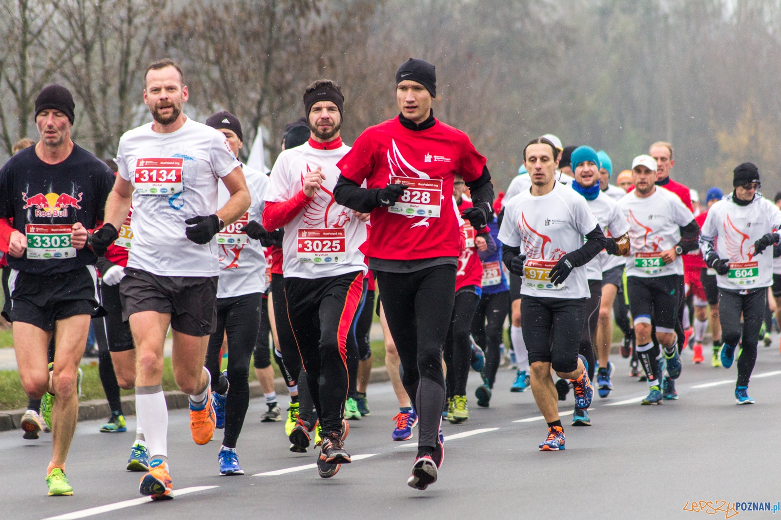 I Poznański Bieg Niepodległości Foto: lepszyPOZNAN.pl / Ewelina Jaśkowiak I Poznański Bieg Niepodległości Foto: lepszyPOZNAN.pl / Ewelina Jaśkowiak