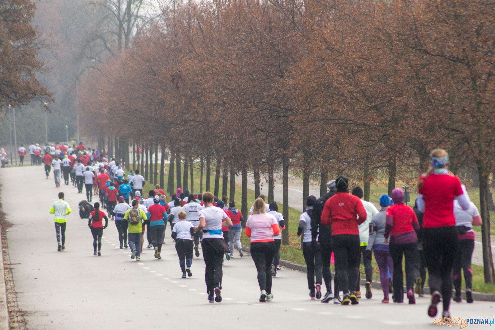 I Poznański Bieg Niepodległości Foto: lepszyPOZNAN.pl / Ewelina Jaśkowiak I Poznański Bieg Niepodległości Foto: lepszyPOZNAN.pl / Ewelina Jaśkowiak